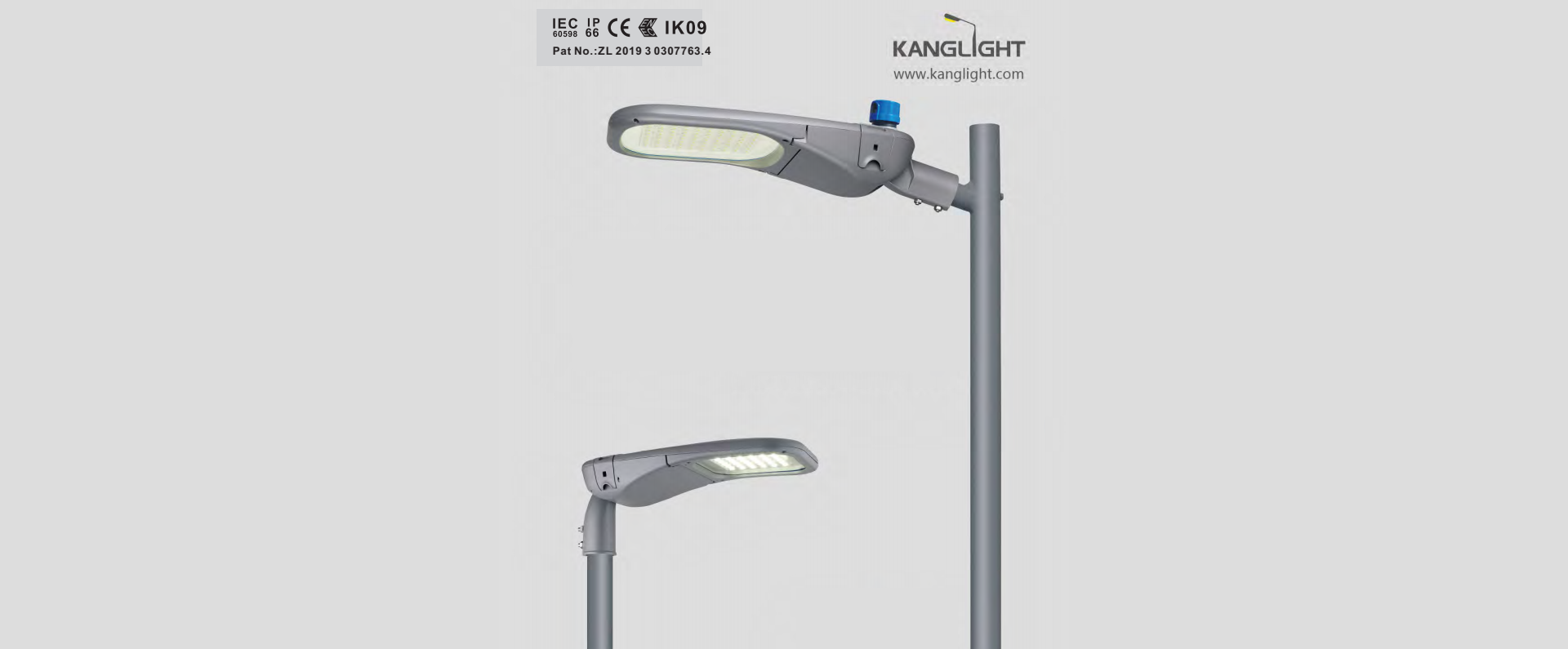 Cobra Head Street Light And Led Cobra Head Fixtures