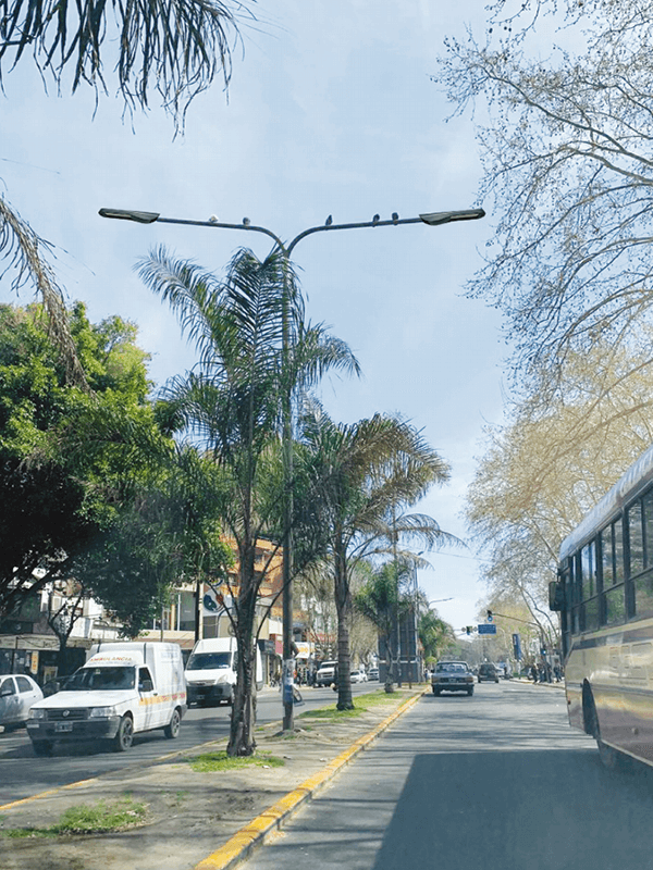 farola con cabeza de cobra